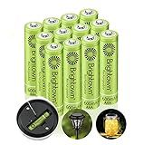 Brightown 12-Pack Rechargeable AAA Batteries, 600mAh NiMH Precharged Triple A Solar Batteries for Solar Lights and Household Devices, Low-self Discharge, Up to 1200 Cycle Times, UL Certified, 1.2V