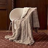 Templewet Heated Blanket Electric Throw 50" x 60" -Heated Throw Blanket with 5 Heating Levels & 3 Hours Auto Off,Machine Washable,ETL & FCC Certification,Over-Heat Protect（Racoon）