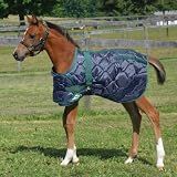 Country Pride 420D Adjustable Foal Blanket, Quilted Nylon with 300g Poly-Fill Insulation, Contoured Hip Darts, Adjustable Belly Surcingle and Leg Straps, Warm Stable Blanket, Machine Washable (Medium)