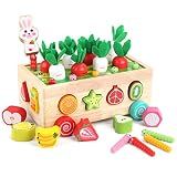 Toddlers Montessori Wooden Educational Toys for Boys Girls Age 1-3 Year Old