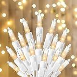 TW SHINE Warm White Christmas Lights, 20FT 100 Count Incandescent White Wire Christmas Tree Lights, Waterproof Xmas String Lights for Outdoor Indoor Home Party Decorations
