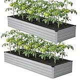 zunatu 10x2x1ft(2 Pack) Galvanized Raised Garden Bed,Outdoor Planter Box Metal Patio Kit Planting Bed for Vegetables Flowers and Succulents,Silver