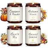 Auelife Fall Candle Set | 4 Pack Scented Candles for Home - Candle Gifts for Women Men, Soy Candles Home Scented | Autumn Fragrance of - Apple Pie/Cinnamon/Harvest/Wreath
