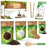 PYEF CRAFTS Terrarium, Succulents & Indoor Plants Kit DIY