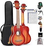 Winzz Soprano Ukulele for Kids and Adults Beginner, 21 Inch Mahogany Ukelele Starter Kit with Chord Chart and Capo, Unique Design Gifts