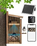 KinetCam Bird House with Camera Solar Powered,Isolated Camera Bay,Cedar