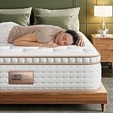 BedStory Firm Queen Mattress - 12 Inch Hybrid Mattress Queen with Ideal Lumbar Support and Reinforced Edges - Back Pain Relief, Motion Isolation - Fiberglass-Free, CertiPUR-US, 365-Night Trial