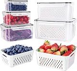 5 PCS Large Fruit storage Containers for Fridge ,Food Storage Containers