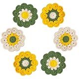 APIGANIZ 100% Handmade Crochet Coasters, Funny Gifts for Women, Cute Coasters Set of 6
