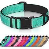 Joytale Reflective Dog Collar, Soft Neoprene Padded, Metal D-Ring, Nylon Pet Collar Adjustable for Large Dogs, Teal, L