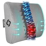 Samsonite Ergonomic Lumbar Support Pillow for Office Chair, Gaming Chair, or Car, Memory Foam Cushion with Ventilated Mesh and Adjustable Strap, Gray