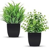Der Rose 2 Pcs Fake Plants Small Artificial Plants for Black Bathroom Decor