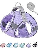 Petank Dog Harness for Small Medium Dogs No Pull, Puppy Harness and Leash Set, Step in Dog Harness for Walking, Running, Training, Small Dog Vest(Purple, S)