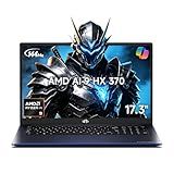 NIMO 17.3" AI Laptop, 12 Cores AMD Ryzen AI 9 HX 370 64GB RAM 4TB SSD