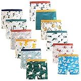 JackLoveBriefs Boys Cotton Boxer Briefs Dinosaur Polar Bear Toddler Kids Underwear 12 Pack, 5-7 Years, Blue, Size: L