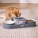 ZOMISIA Cat Water Fountain and 2 Ceramic Food Bowls - 2 in 1 Ultra Quiet Automatic Pet Food and Water Bowl Set for Two Cats, Small Dogs, Gray (No Adapter)