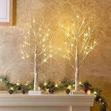 PEIDUO Christmas Decorations Indoor, 2 FT Birch Tree with LED Lights, Fairy Light Spirit Tree for Christmas Decor, Warm White Lighted Birch Trees for Home Decor Indoor, Battery Powered, Timer (2PK)