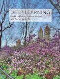 Deep Learning (Adaptive Computation and Machine Learning series)