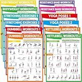 gisgfim 12PCS Workout Posters for Home Gym Dumbbells, Bodyweight, Stretching, Resistance Bands, Yoga, Kettlebells Exercise Chart Full Body Workout Poster Set Muscle Engagement Chart Garage Gym Decor