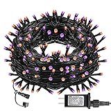 DAZZLE BRIGHT Halloween 300 LED String Lights, 100FT String Lights with 8 Lighting Modes, Halloween Decorations for Party Carnival Supplies, Outdoor Yard Garden Decor (Purple & Orange)
