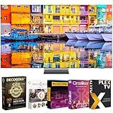 Samsung QN65QN900D 65 Inch Neo QLED 8K Smart TV 2024 Bundle with Movies Streaming + Deco Gear 2X 4K HDMI 2.0 Cable w/CPS Exclusive 12 Month Protection Pack Bundle (BEACH-CPS-264000)