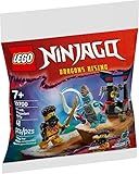 LEGO® Ninjago® Arin vs. Dragonian Battle 30700