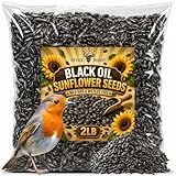 Office Roast Premium Black Sunflower Seeds – | 2 LB Bulk Value Pack | Natural Wild Bird Seed for Backyard Feeders, High-Energy Food for Songbirds