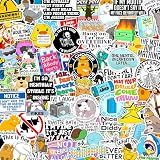 300 Pcs Funny Gift Stickers for Adults (Dirty) Meme Water Bottles Prank Pack Waterproof Cool Sticker for Laptop, Hard Hats, Sarcastic, Vinyl Decals Hilarious Gift