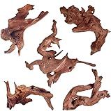 Jorewood Natural Small Aquarium Driftwood for Fish Tanks & Reptile Terrariums – 100% Safe Fish Tank Decorations, Unique Twisted Branches 5-Piece 4-8 Inch Low Tannin, Easy to Sink