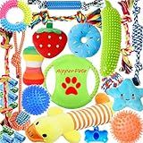 Aipper Dog Toys 25 Pack for Fun and Teeth Cleaning, Puppy Chew Toys Pack with Squeak Plush Toy,Squeaky Toy Balls,Tug of War and Rope Toys for Puppy to Small Dogs