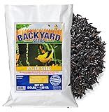 CountryMax Nyjer Thistle Seed for Finches 50lbs - Premium Nyjer Bird Seed for Outside Feeders, Large Bulk Bag of Wild Bird Food