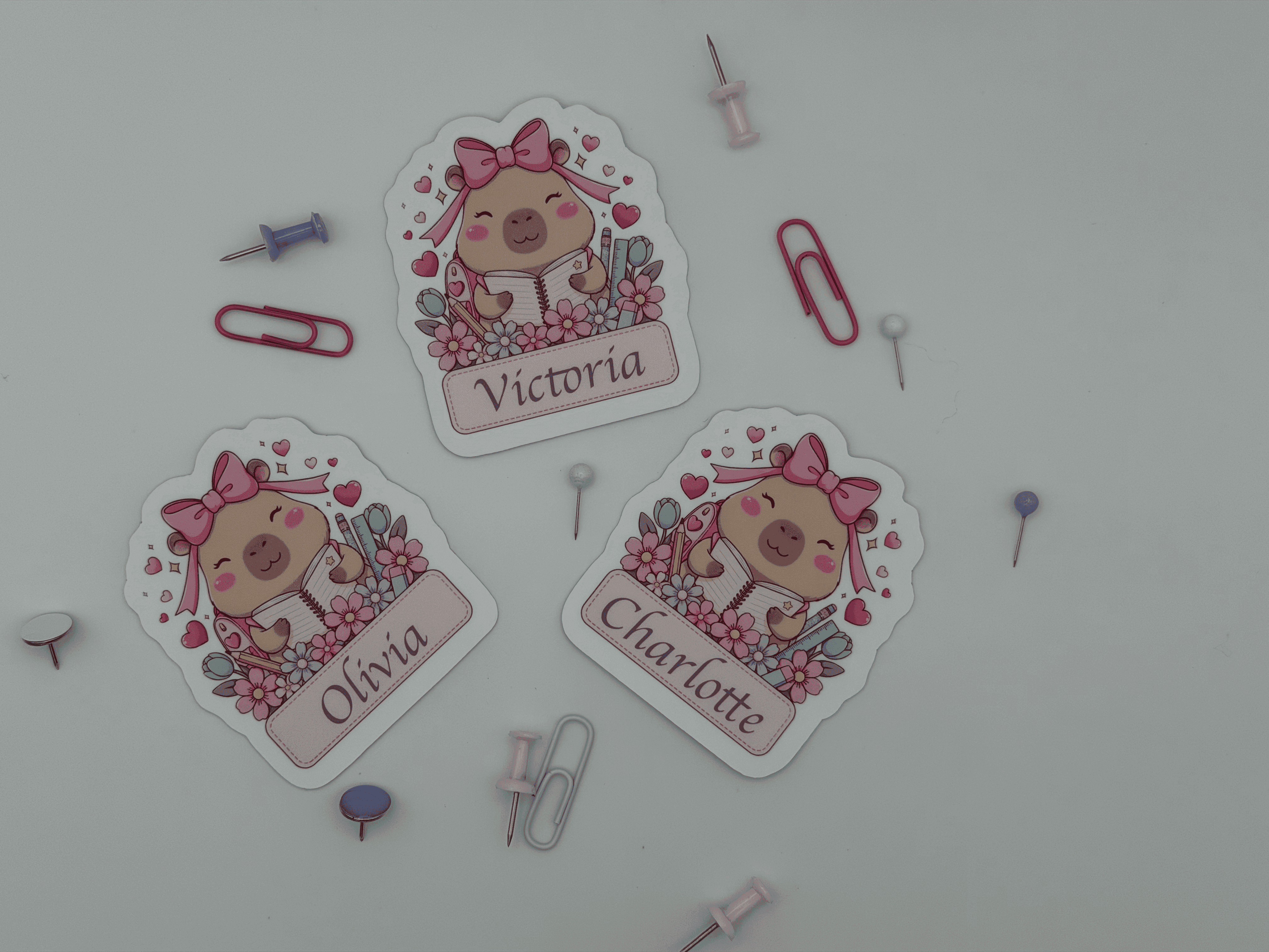 Set of 5 Custom Capybara Name Stickers