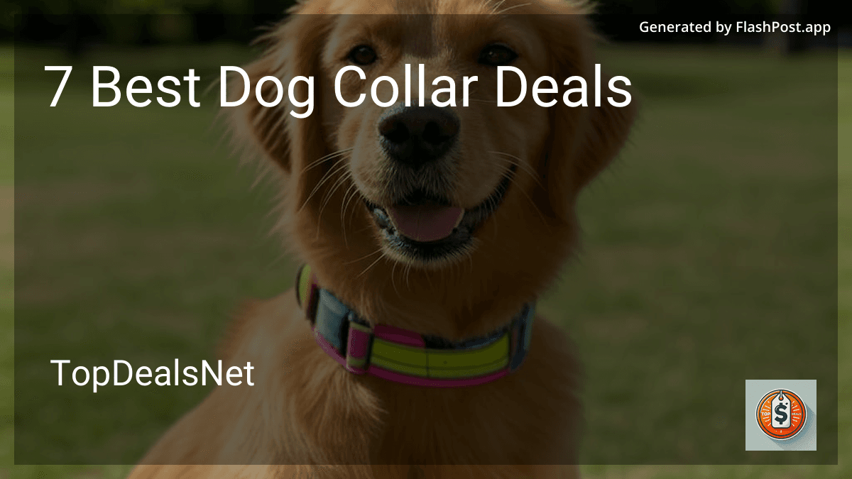 7 Best Dog Collar Deals in 2025 preview
